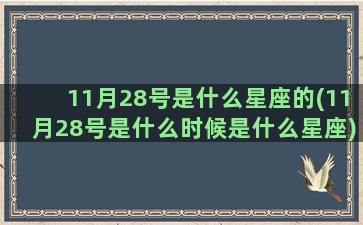 11月28号是什么星座的(11月28号是什么时候是什么星座)