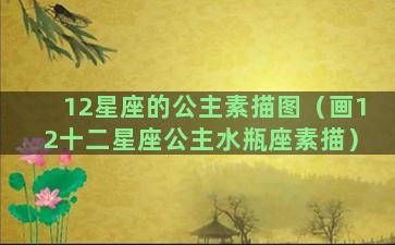 12星座的公主素描图（画12十二星座公主水瓶座素描）