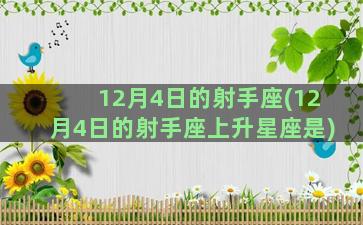 12月4日的射手座(12月4日的射手座上升星座是)