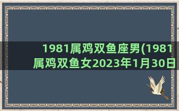 1981属鸡双鱼座男(1981属鸡双鱼女2023年1月30日运势)