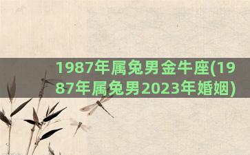 1987年属兔男金牛座(1987年属兔男2023年婚姻)