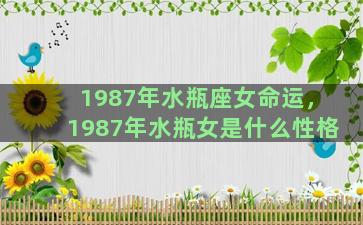 1987年水瓶座女命运，1987年水瓶女是什么性格