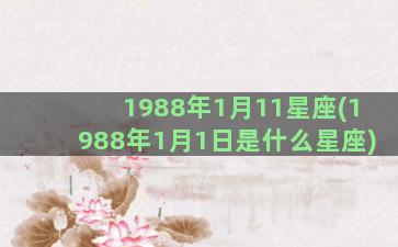 1988年1月11星座(1988年1月1日是什么星座)