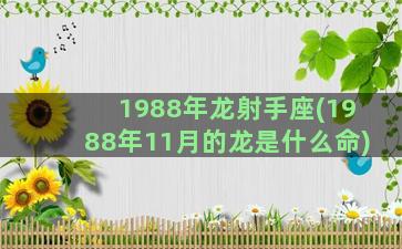 1988年龙射手座(1988年11月的龙是什么命)