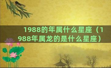 1988的年属什么星座（1988年属龙的是什么星座）