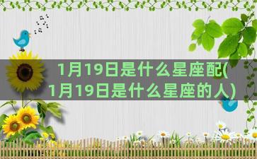 1月19日是什么星座配(1月19日是什么星座的人)