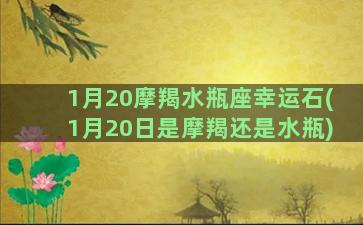 1月20摩羯水瓶座幸运石(1月20日是摩羯还是水瓶)