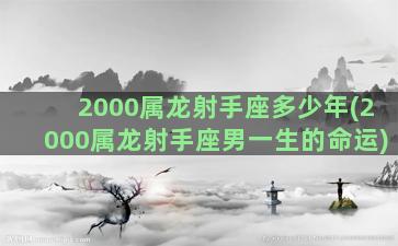 2000属龙射手座多少年(2000属龙射手座男一生的命运)