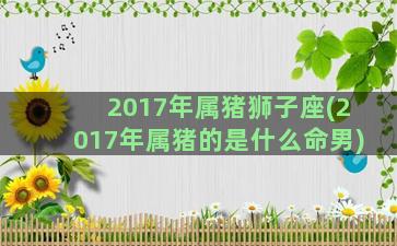 2017年属猪狮子座(2017年属猪的是什么命男)