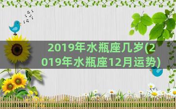 2019年水瓶座几岁(2019年水瓶座12月运势)