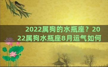 2022属狗的水瓶座？2022属狗水瓶座8月运气如何