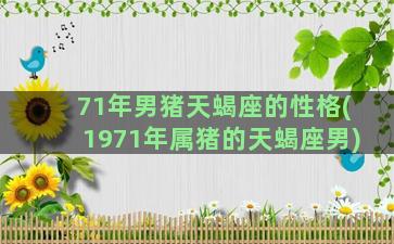 71年男猪天蝎座的性格(1971年属猪的天蝎座男)