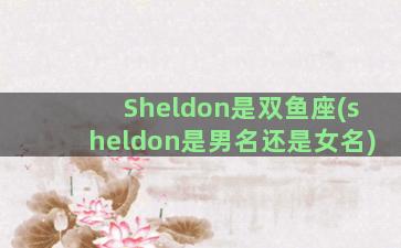 Sheldon是双鱼座(sheldon是男名还是女名)