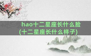 hao十二星座长什么脸(十二星座长什么样子)