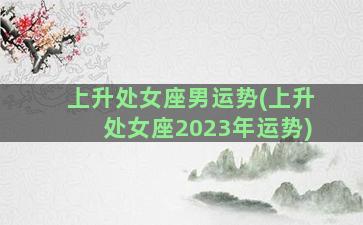 上升处女座男运势(上升处女座2023年运势)