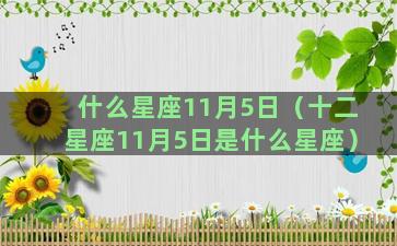 什么星座11月5日（十二星座11月5日是什么星座）