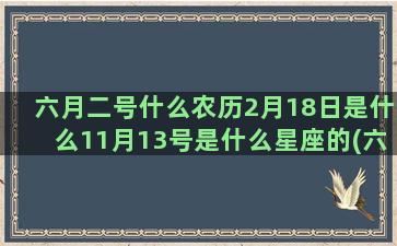 六月二号什么农历2月18日是什么11月13号是什么星座的(六月二四农历)