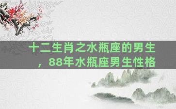 十二生肖之水瓶座的男生，88年水瓶座男生性格