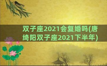 双子座2021会复婚吗(唐绮阳双子座2021下半年)