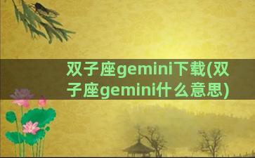 双子座gemini下载(双子座gemini什么意思)