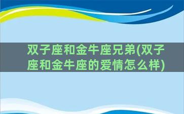 双子座和金牛座兄弟(双子座和金牛座的爱情怎么样)