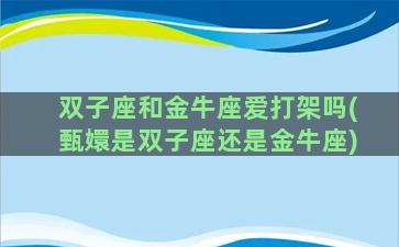 双子座和金牛座爱打架吗(甄嬛是双子座还是金牛座)