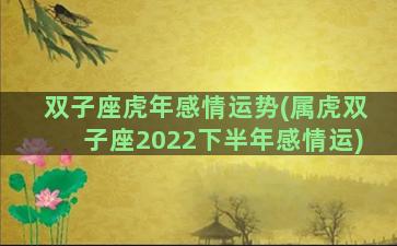 双子座虎年感情运势(属虎双子座2022下半年感情运)