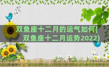 双鱼座十二月的运气如何(双鱼座十二月运势2022)