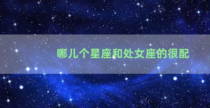 哪儿个星座和处女座的很配