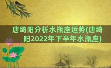 唐绮阳分析水瓶座运势(唐绮阳2022年下半年水瓶座)