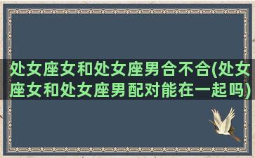 处女座女和处女座男合不合(处女座女和处女座男配对能在一起吗)