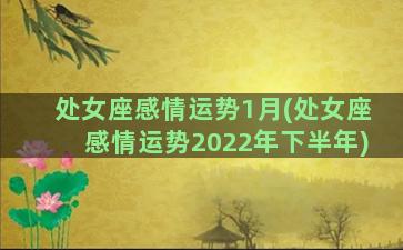 处女座感情运势1月(处女座感情运势2022年下半年)