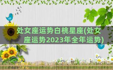 处女座运势白桃星座(处女座运势2023年全年运势)