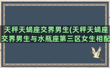 天秤天蝎座交界男生(天秤天蝎座交界男生与水瓶座第三区女生相配吗)