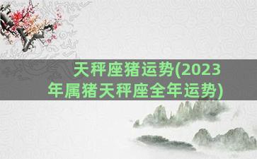 天秤座猪运势(2023年属猪天秤座全年运势)