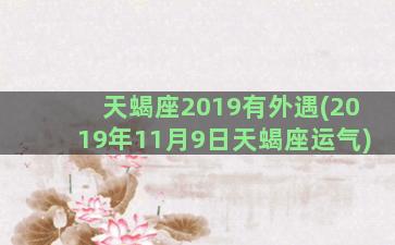 天蝎座2019有外遇(2019年11月9日天蝎座运气)