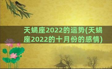 天蝎座2022的运势(天蝎座2022的十月份的感情)