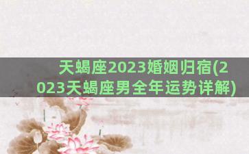 天蝎座2023婚姻归宿(2023天蝎座男全年运势详解)