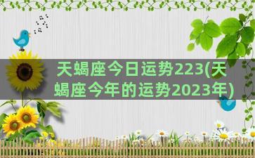 天蝎座今日运势223(天蝎座今年的运势2023年)