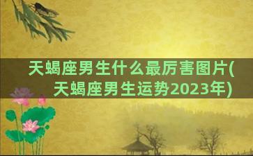 天蝎座男生什么最厉害图片(天蝎座男生运势2023年)