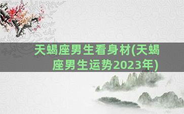 天蝎座男生看身材(天蝎座男生运势2023年)