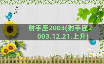 射手座2003(射手座2003.12.21.上升)