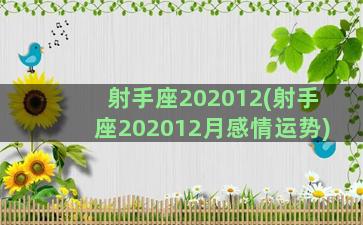 射手座202012(射手座202012月感情运势)