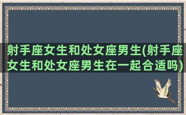 射手座女生和处女座男生(射手座女生和处女座男生在一起合适吗)