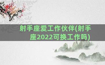 射手座爱工作伙伴(射手座2022可换工作吗)