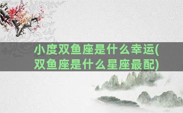 小度双鱼座是什么幸运(双鱼座是什么星座最配)