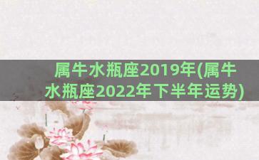 属牛水瓶座2019年(属牛水瓶座2022年下半年运势)