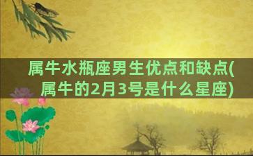 属牛水瓶座男生优点和缺点(属牛的2月3号是什么星座)