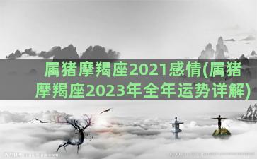 属猪摩羯座2021感情(属猪摩羯座2023年全年运势详解)