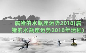 属猪的水瓶座运势2018(属猪的水瓶座运势2018年运程)